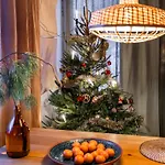 Aini * Rovaniemi