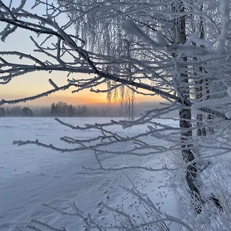 Aini * Rovaniemi